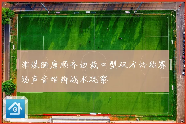津媒晒唐顺齐边裁口型双方均称赛场声音难辨战术观察