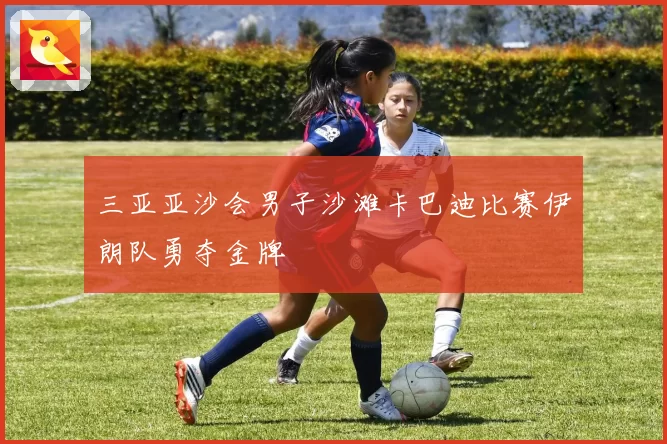 三亚亚沙会男子沙滩卡巴迪比赛伊朗队勇夺金牌