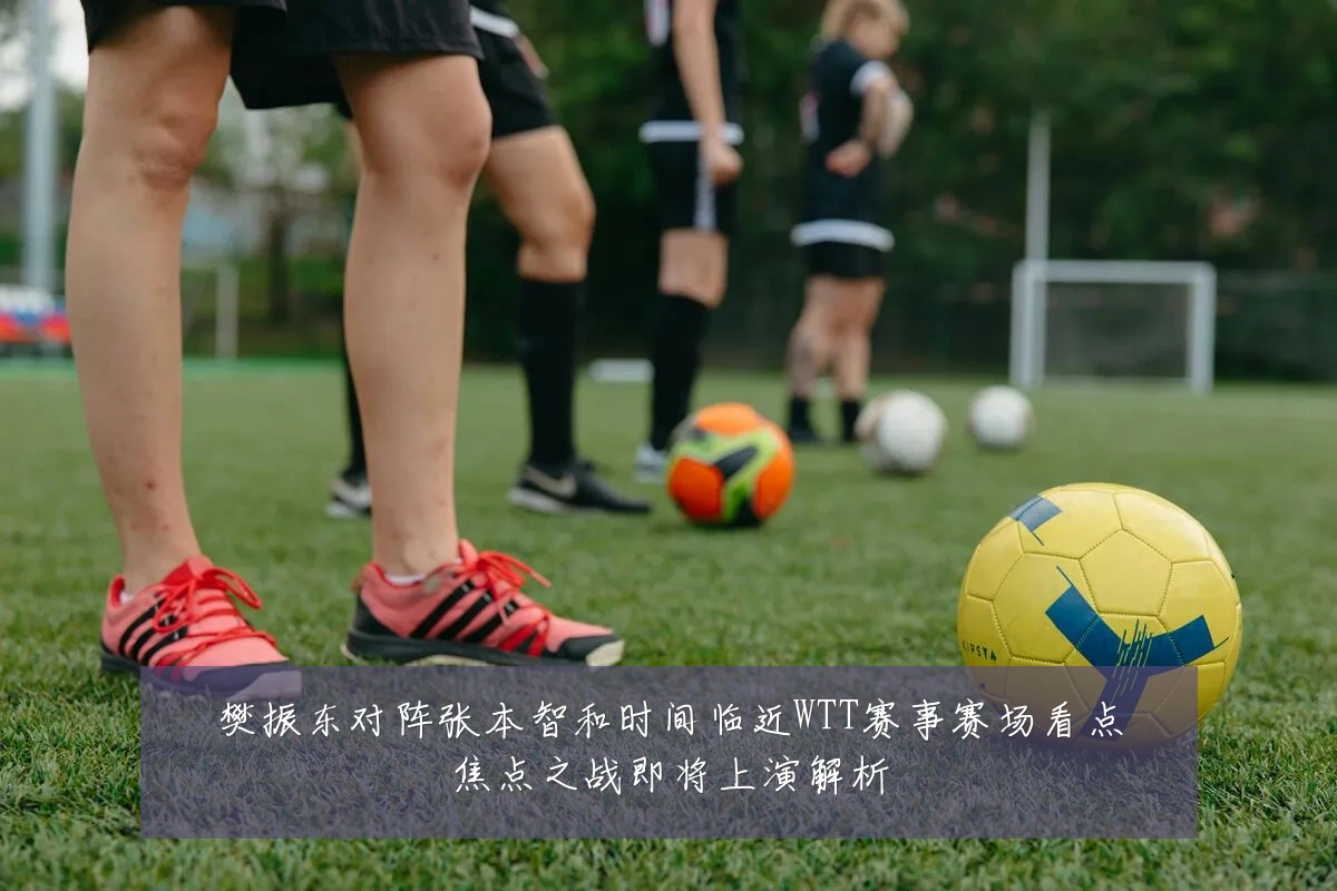 樊振东对阵张本智和时间临近WTT赛事赛场看点焦点之战即将上演解析